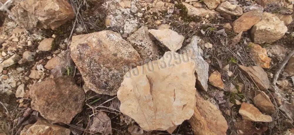 Borsod-Abaúj-Zemplén megye - Füzérradvány