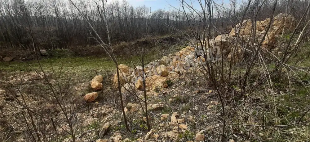 Borsod-Abaúj-Zemplén megye - Füzérradvány