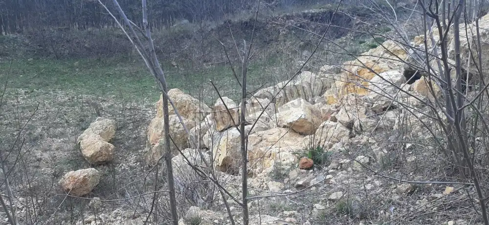 Borsod-Abaúj-Zemplén megye - Füzérradvány