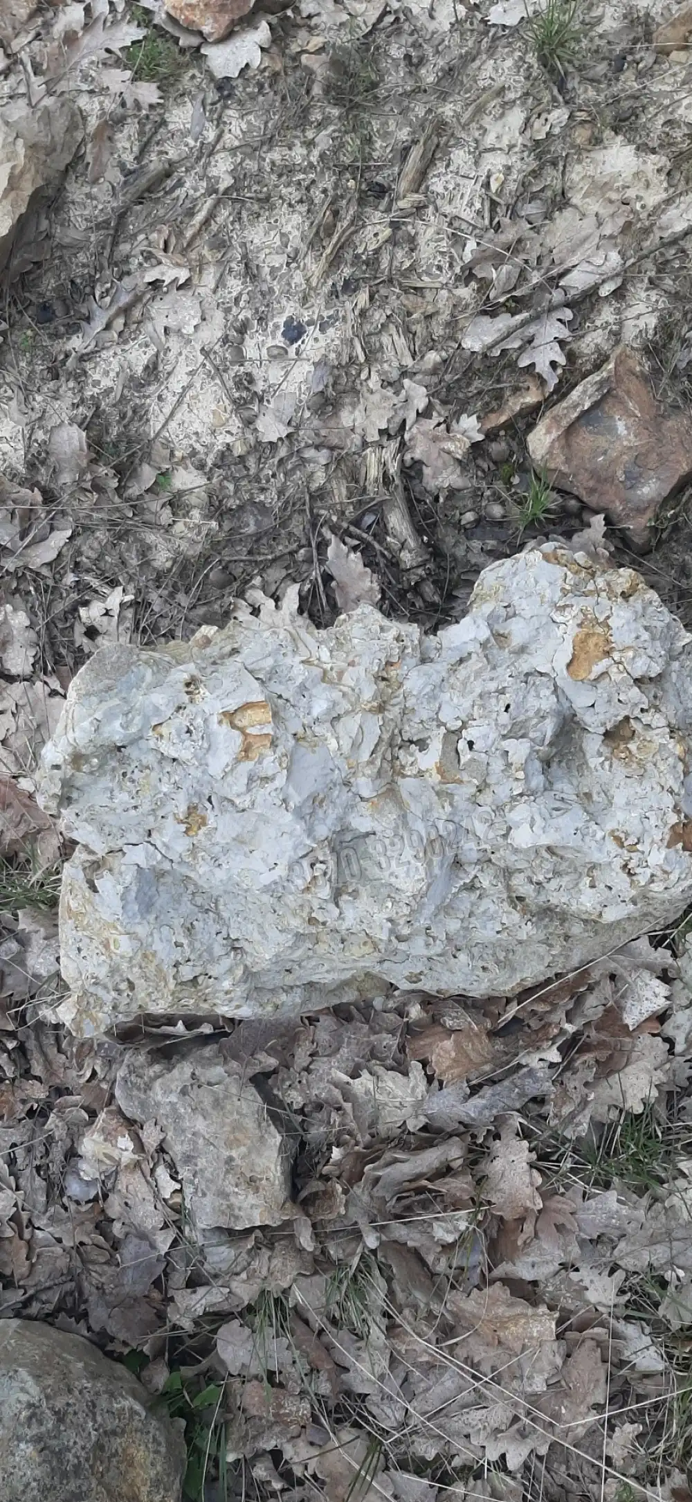 Borsod-Abaúj-Zemplén megye - Füzérradvány