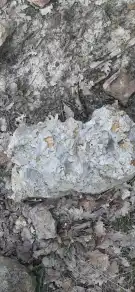 Borsod-Abaúj-Zemplén megye - Füzérradvány