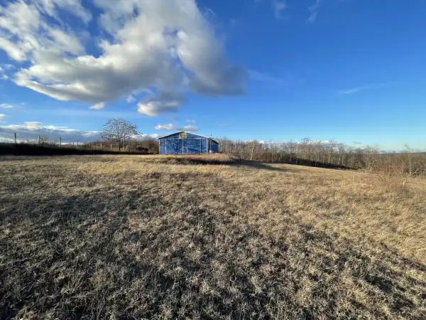 Eladó ipari ingatlan, Isaszeg 52000 m² 120 M Ft