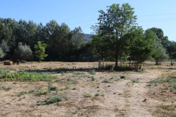 Eladó ipari ingatlan, Piliscsaba 89.99 M Ft