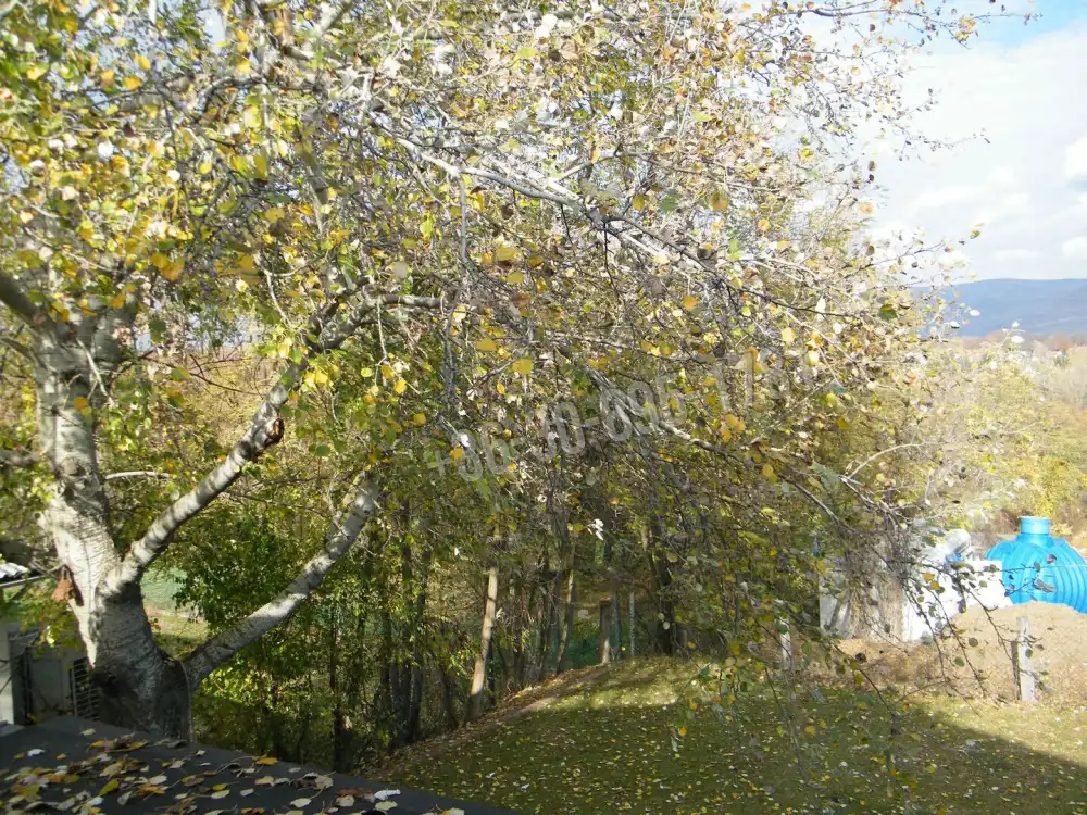 Pest megye - Solymár