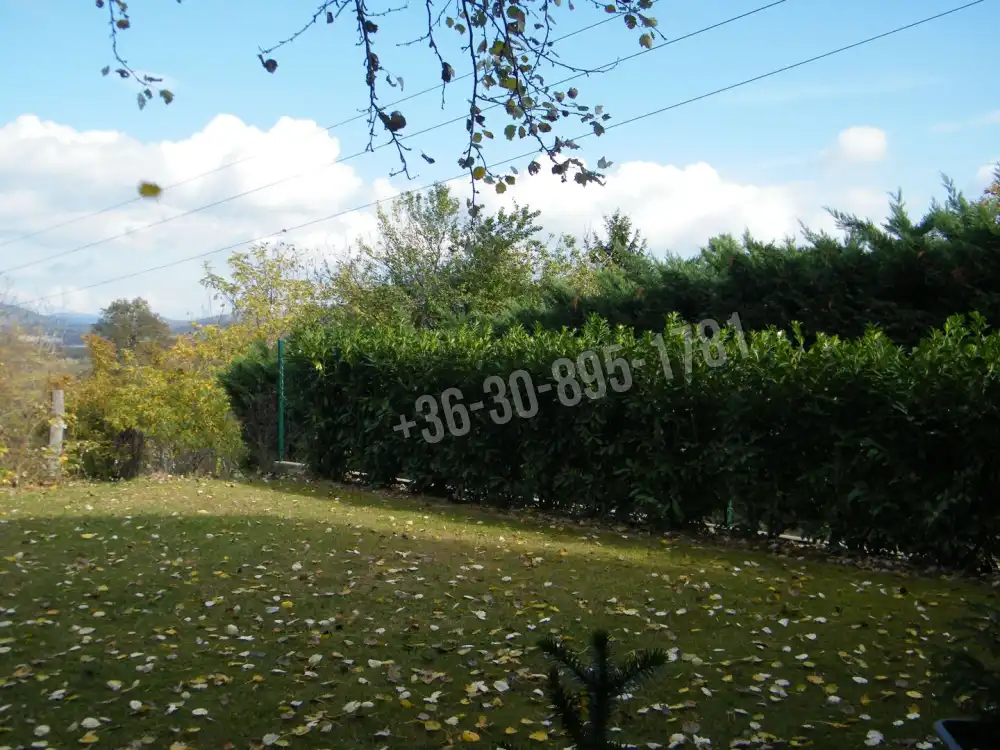 Pest megye - Solymár