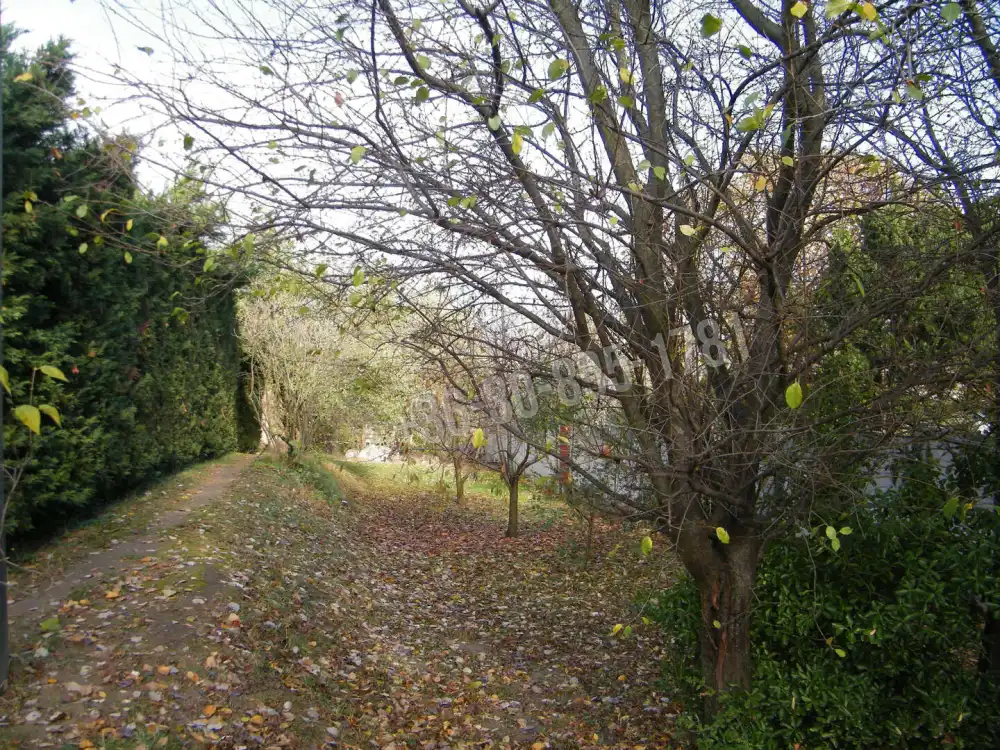 Pest megye - Solymár