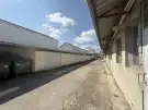 Fejér megye - Székesfehérvár