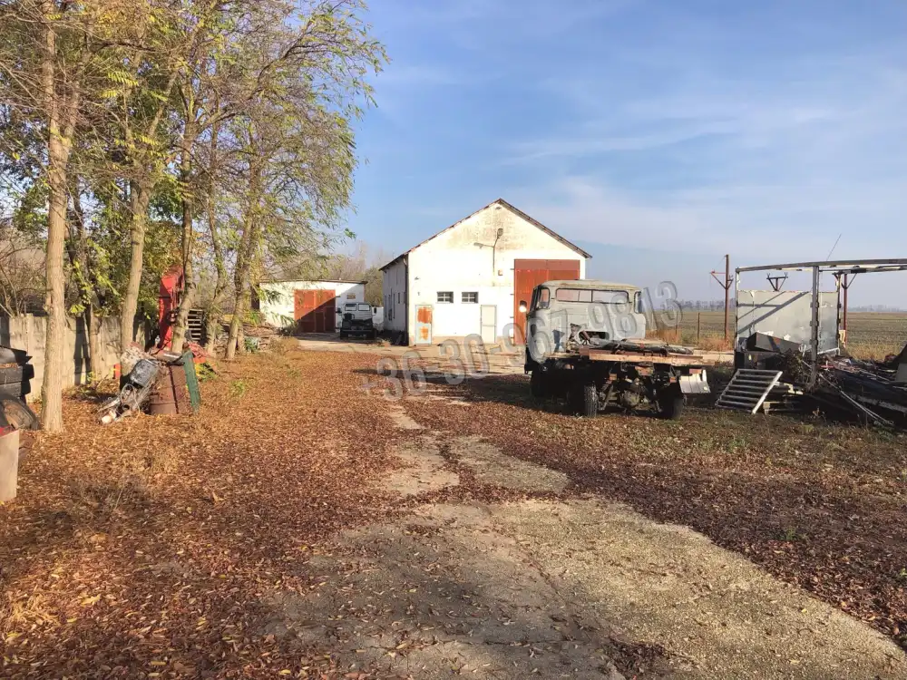 Békés megye - Újkígyós