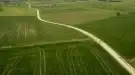 Pest megye - Dabas