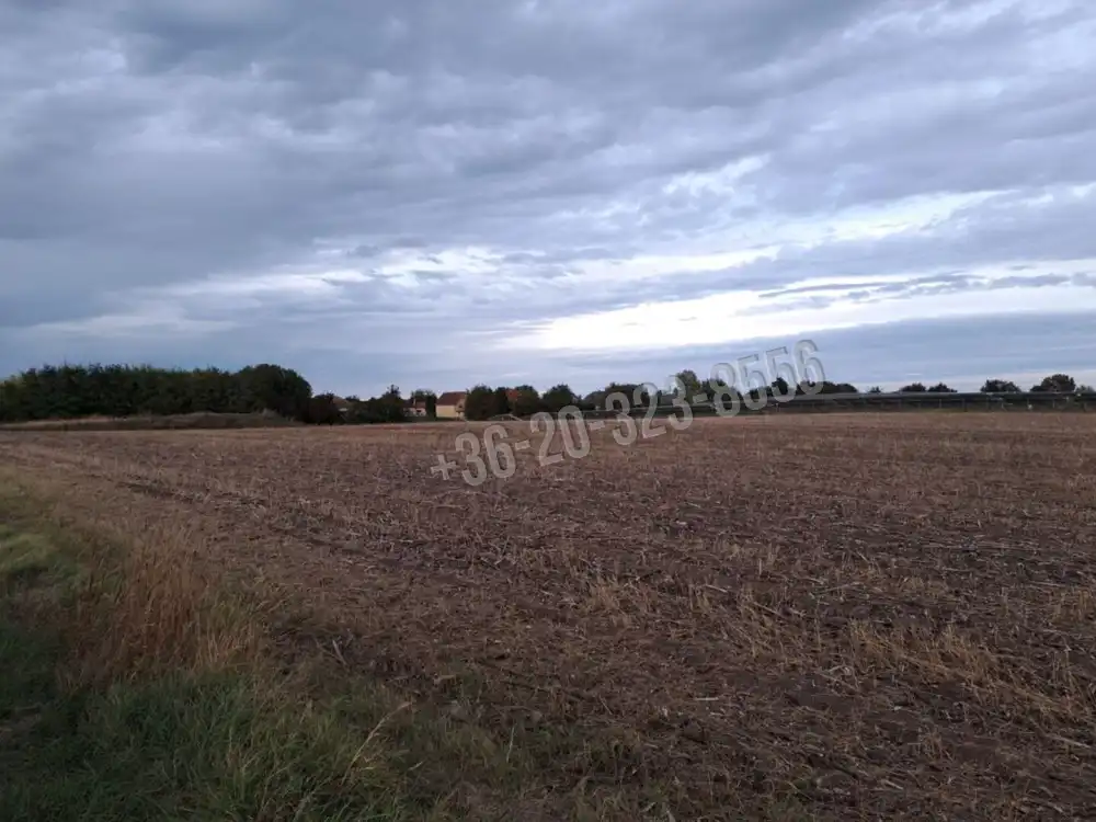 Fejér megye - Iváncsa