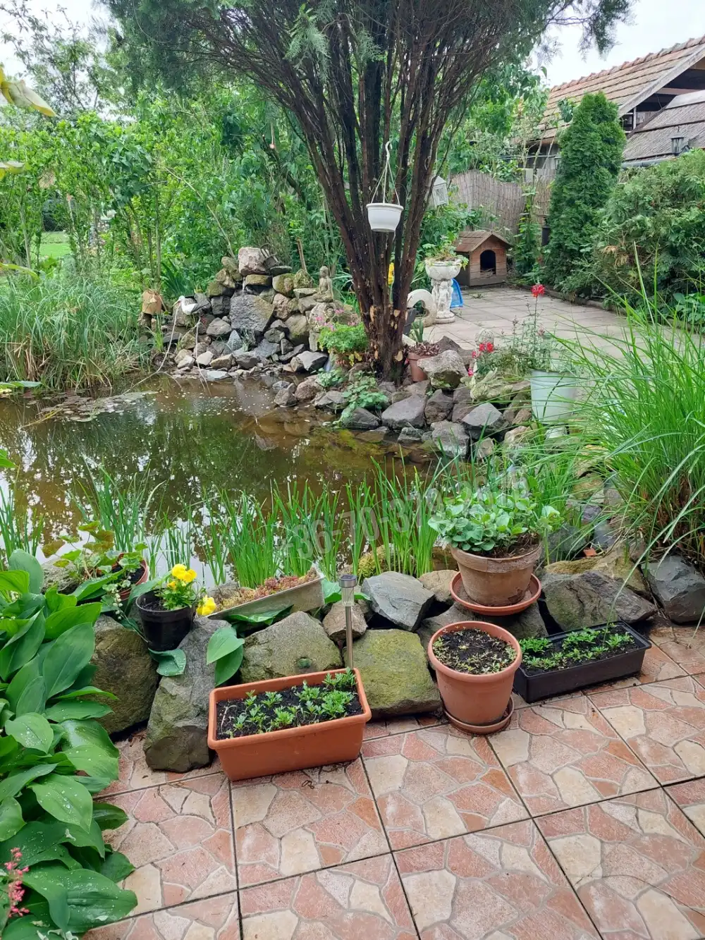 Pest megye - Tóalmás