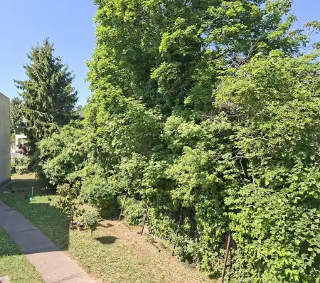 Eladó lakás, Budapest, XII. kerület 3 szoba 81 m² 159.9 M Ft