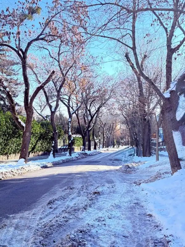 Eladó lakás, Budapest, XII. kerület 3 szoba 113 m² 398 M Ft