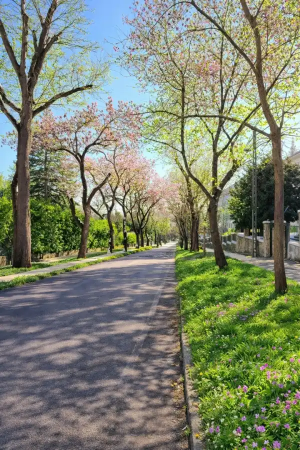 Eladó lakás, Budapest, XII. kerület 3 szoba 113 m² 398 M Ft