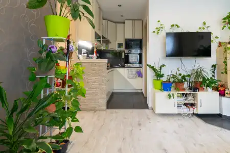 Eladó lakás, Mosonmagyaróvár 2 szoba 36 m² 32.76 M Ft