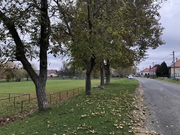 Eladó lakás, Petrivente 4 szoba 100 m² 25.5 M Ft