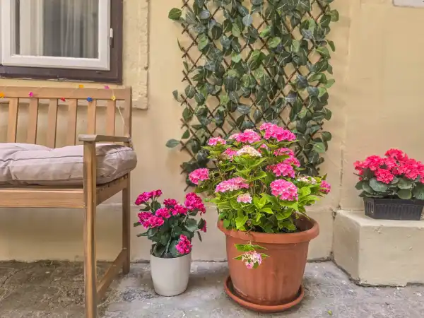 Eladó lakás, Sopron 2+2 szoba 79 m² 79.9 M Ft
