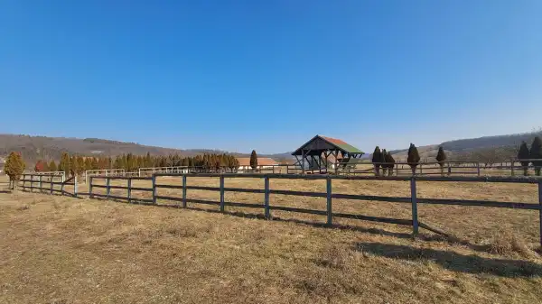 Eladó Legelő, Dorogháza 58600 m² 85 M Ft