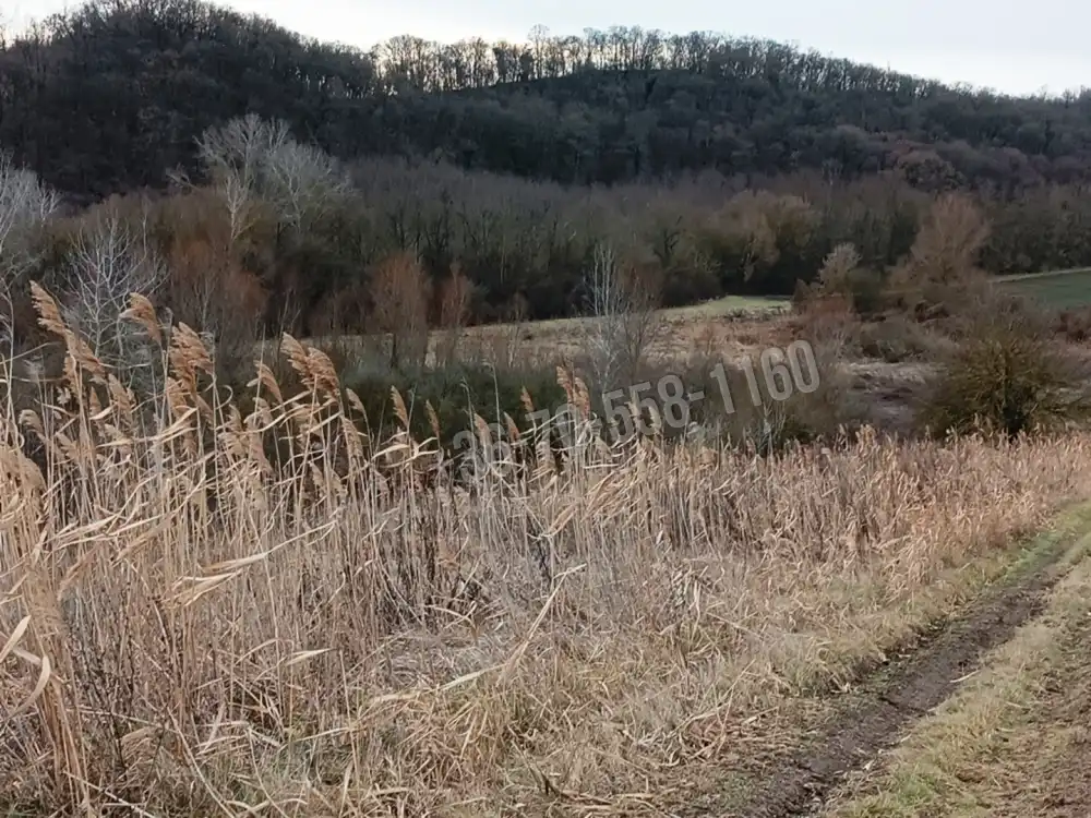 Pest megye - Őrbottyán