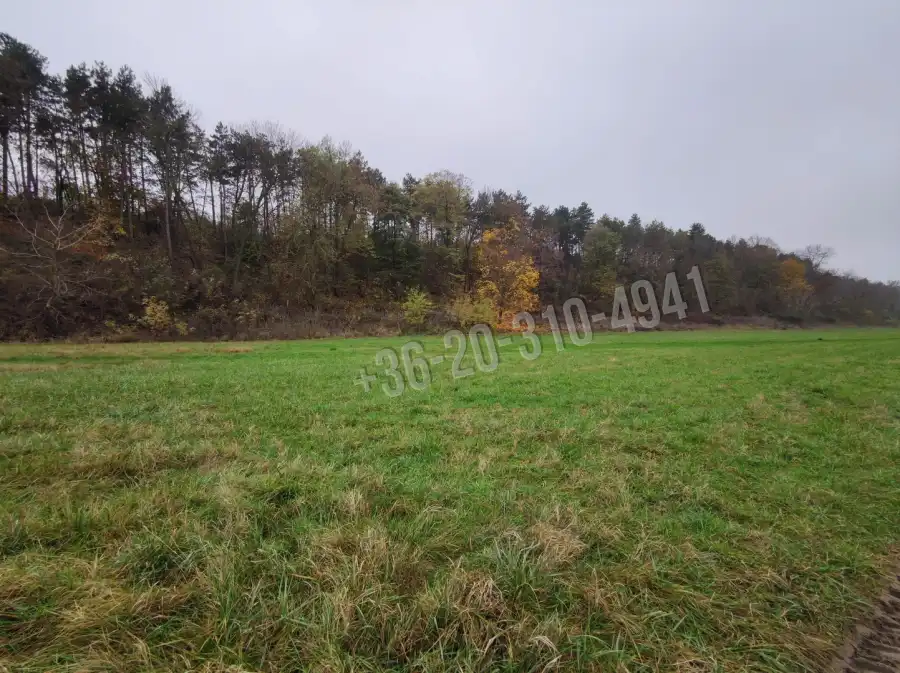 eladó  Legelő, Paks