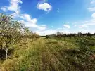 Pest megye - Sződ