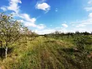 Pest megye - Sződ