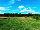 Pest megye - Sződ