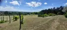 Komárom-Esztergom megye - Tatabánya