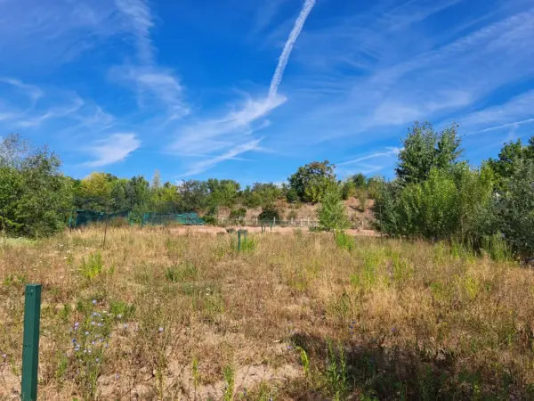 Eladó Legelő, Törökbálint 10746 m² 429.84 M Ft