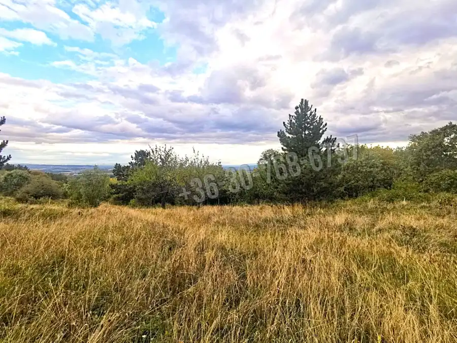 eladó  Legelő, Vác