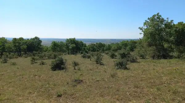 Eladó Legelő, Zámoly 92034 m² 28.5 M Ft