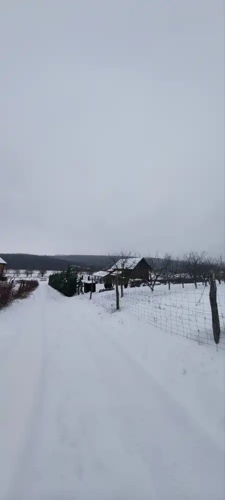 eladó mezőgazdasági ingatlan, Alsópetény