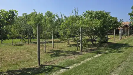 Eladó mezőgazdasági ingatlan, Cserdi 2684 m² 9.9 M Ft
