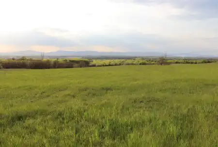 eladó mezőgazdasági ingatlan, Fót