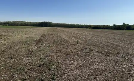 eladó mezőgazdasági ingatlan, Kistelek
