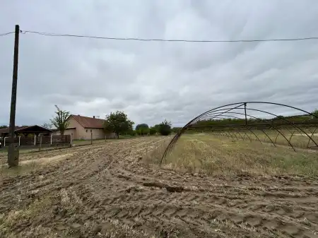 Eladó mezőgazdasági ingatlan, Lajosmizse 5500 m² 17 M Ft