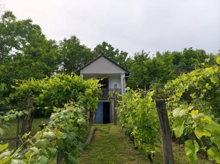 Eladó mezőgazdasági ingatlan, Oltárc 1011 m² 2.5 M Ft