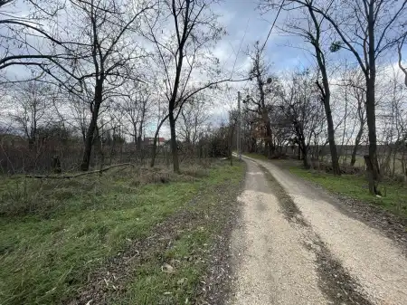 eladó mezőgazdasági ingatlan, Oroszlány