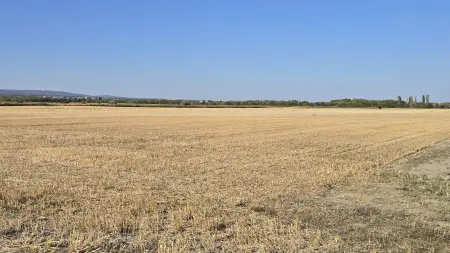 eladó mezőgazdasági ingatlan, Szigetszentmiklós