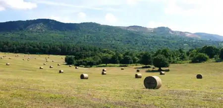 Eladó mezőgazdasági ingatlan, Vác 144953 m² 450 M Ft