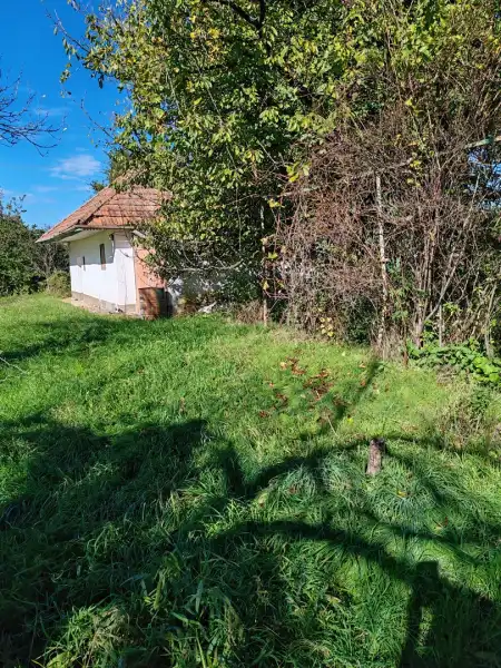 Eladó mezőgazdasági ingatlan, Zalaegerszeg 5689 m² 14.8 M Ft