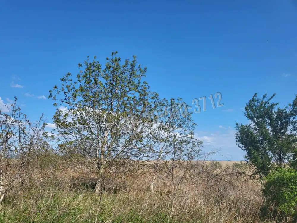 Zala megye - Balatongyörök
