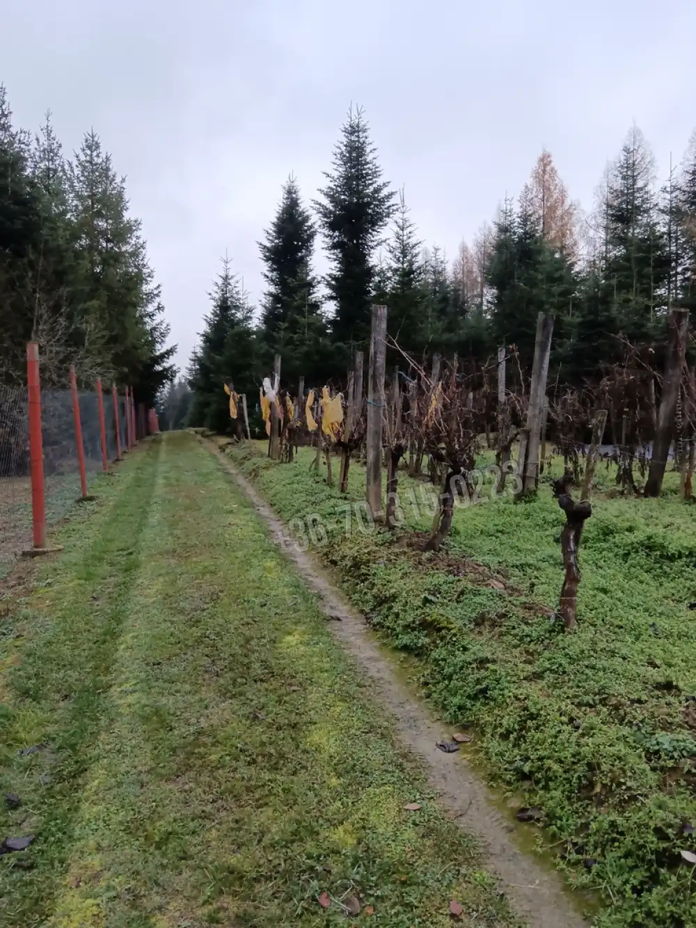 Zala megye - Nagykanizsa