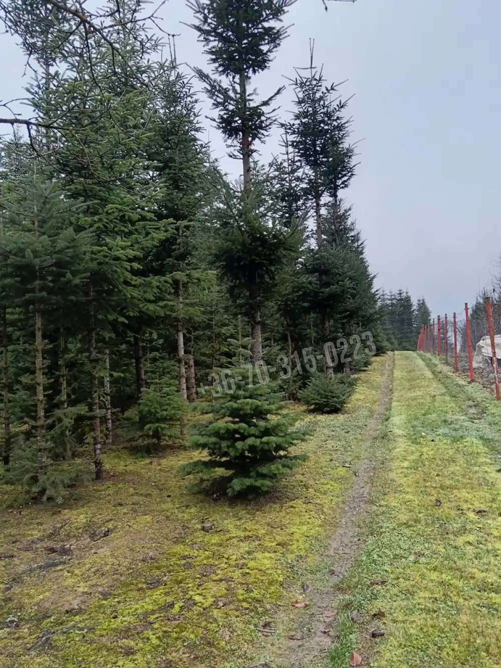 Zala megye - Nagykanizsa