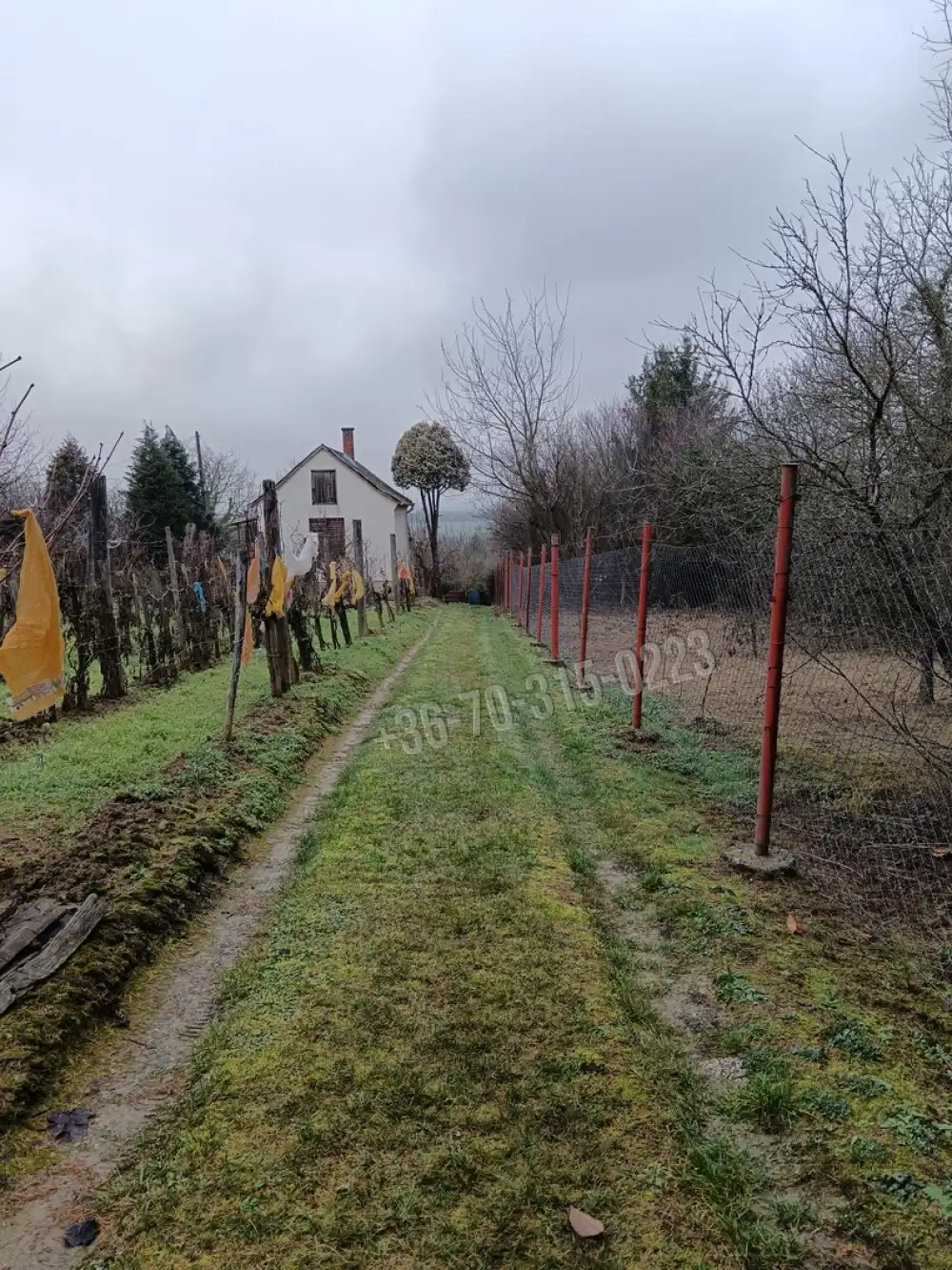 Zala megye - Nagykanizsa