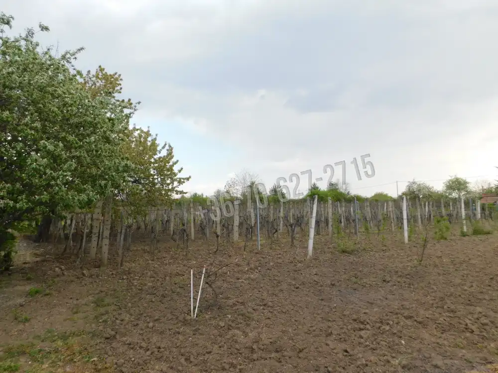 Heves megye - Andornaktálya