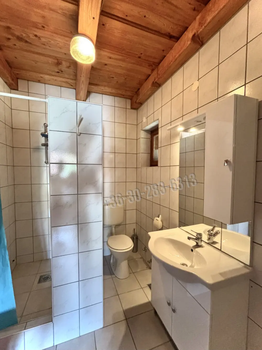 Somogy megye - Balatonszárszó