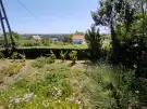 Baranya megye - Bár