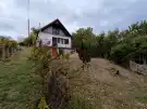 Baranya megye - Bár