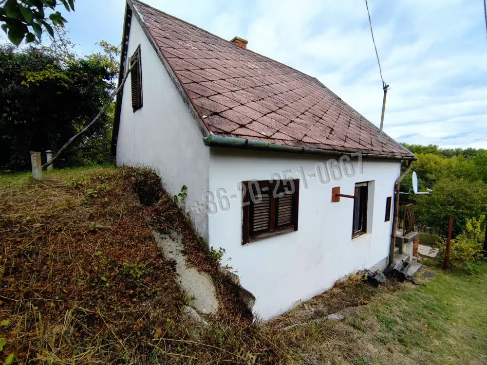 Baranya megye - Bár
